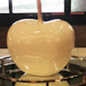 Meet your Posher, Mj